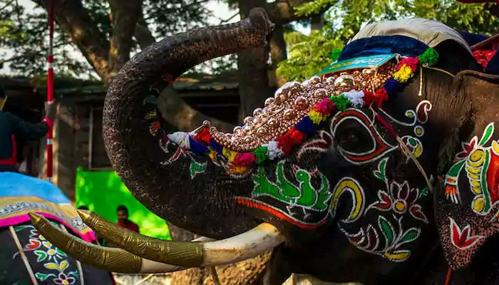 Behold The History And Heritage Of The Surin Elephant Festival In Thailand